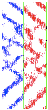 Picture of coevolution