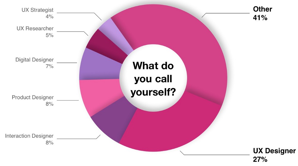 Graph showing function-titles: 41% other, 27% UX Designer