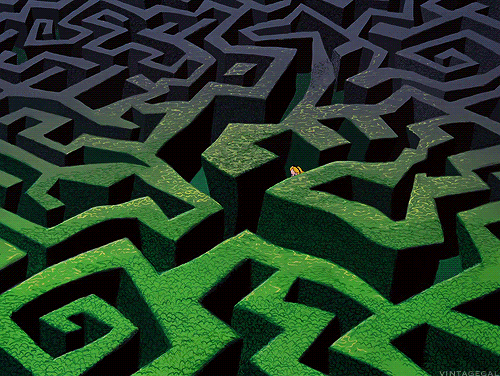 Alice in a maze