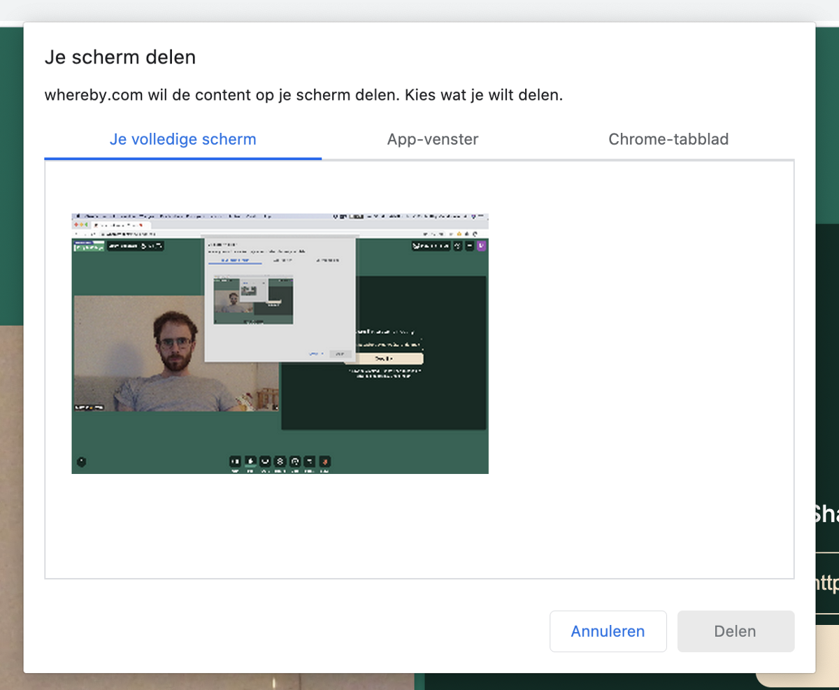Screenshot of how to select what you share in Chrome
